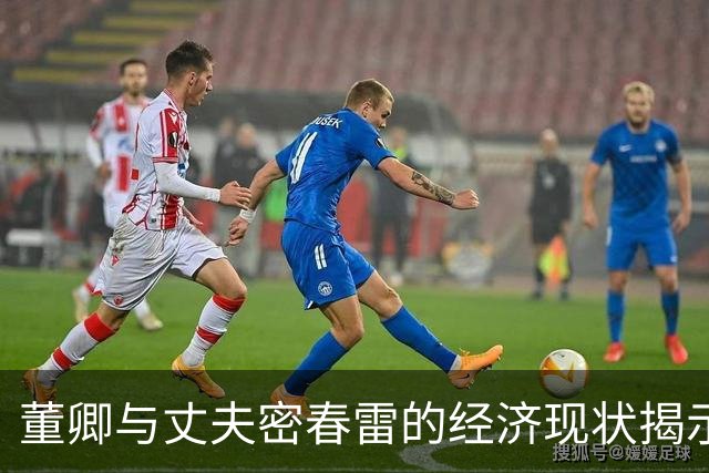 董卿与丈夫密春雷的经济现状揭示出婚姻的挑战